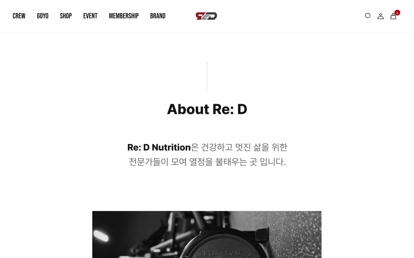 브랜드 소개